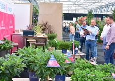 Kris and Christoh of FlorAmor in their element.